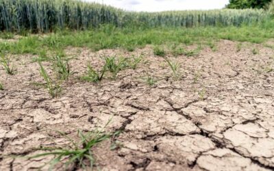 Restrictions des usages de l’eau (Vexin)