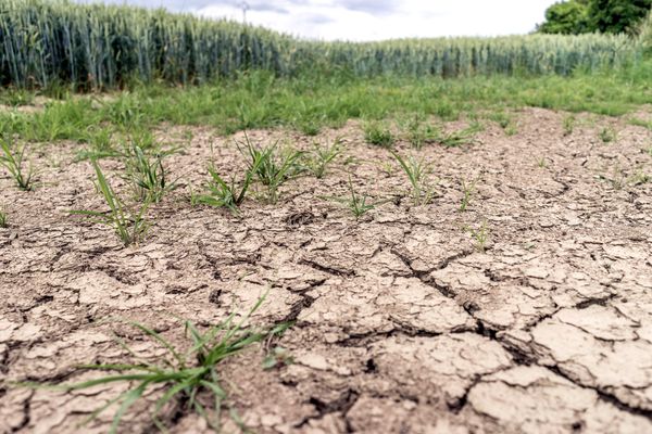Restrictions des usages de l&rsquo;eau (Vexin)