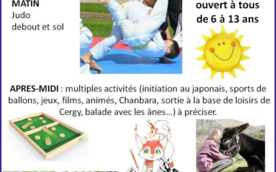 Stage de Judo à Vigny