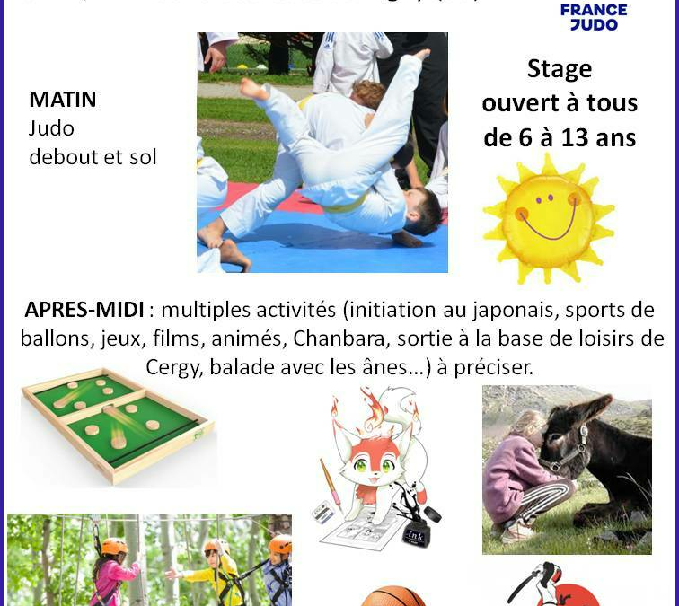 Stage de Judo à Vigny